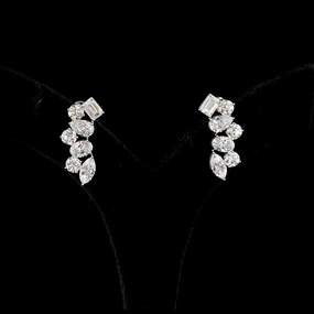 Polished Ornament 14K WHITE GOLDEarring Earrings