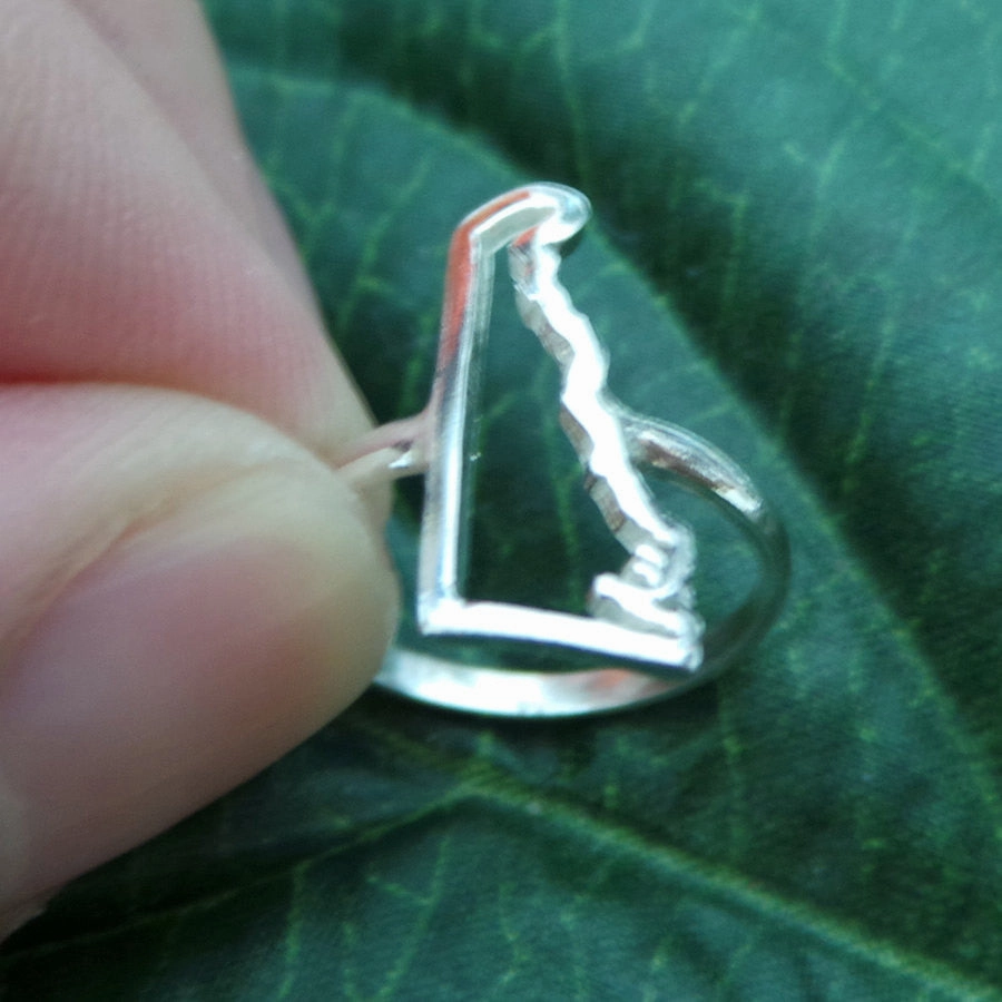 Effortless Chic Silver Delaware State Ring