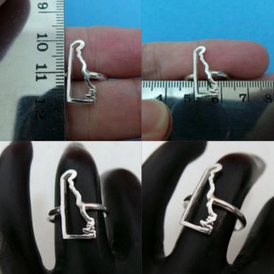 HighEnd Symbol Strong Construction Silver Delaware State Ring