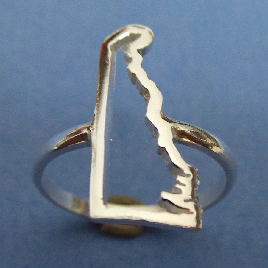Clean Finish Silver Delaware State Ring