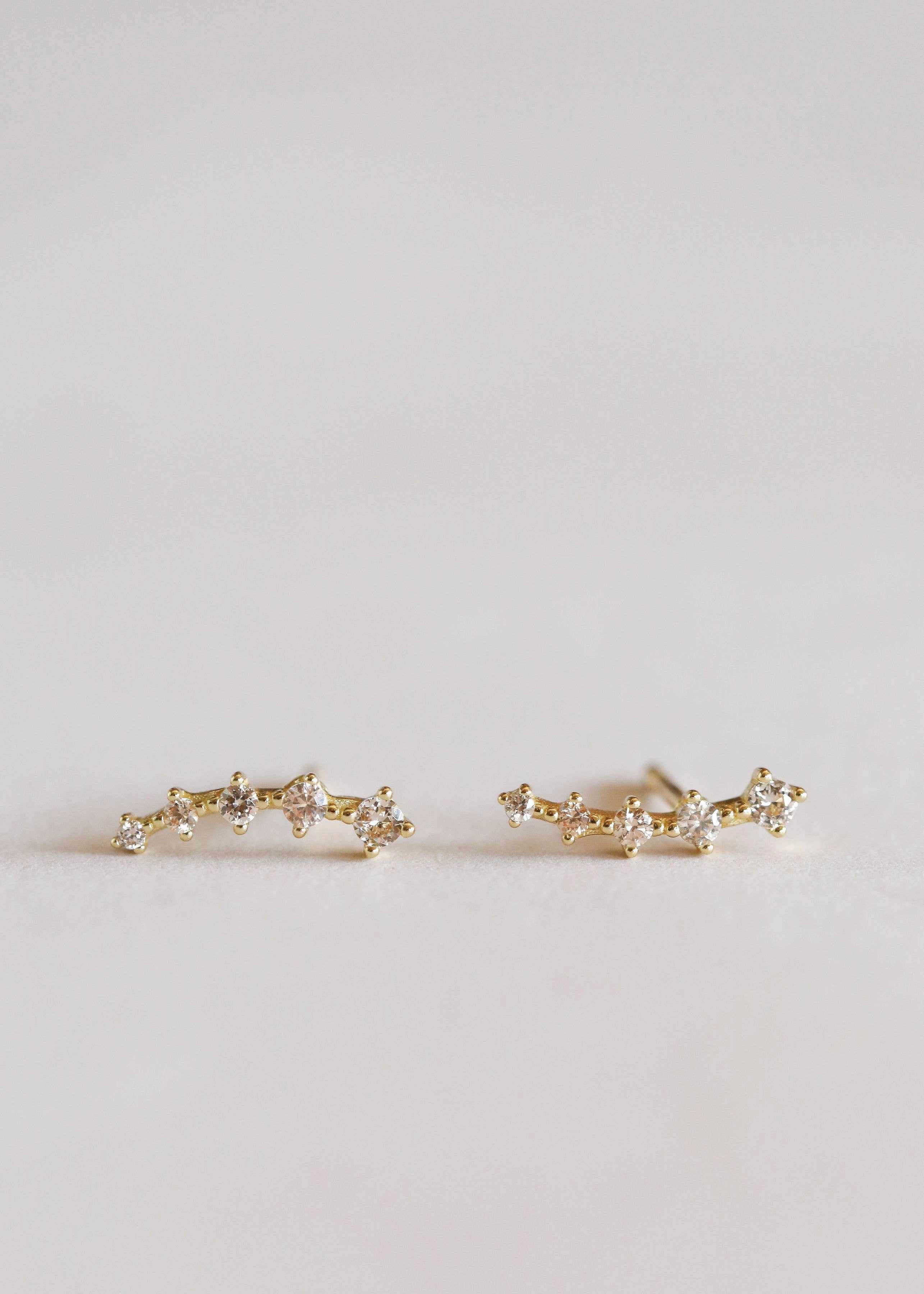 Everyday Adornment Crawler Earrings