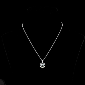 Seasonal Adornment Permanent Item 14K WHITE GOLDPendant Pendant