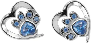 Gatuida 1 Pair Silver Cat Claw Earrings for Women Stylish Zircon Ear Studs Fashionable Ear Ornaments Match for Casual and Formal Attire present for