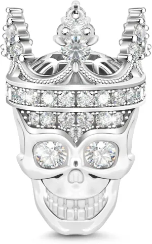 GNOCE Women's Skull Charm for Bracelets 925 Silver Charm Bracelets Charm for Women fit US European Bracelets Necklaces (Silver Skull Queen)