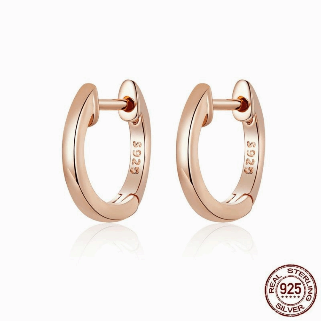 Cycolinks 925 Sterling Silver Exquisite Earrings Contemporary piece