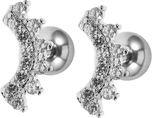 Homoyoyo Women Earrings 2pcs Zircon Ear Studs Fashionable Metal Earrings for Women Earring for Women