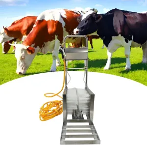 Manual Rain Boots Shoe Washer Disinfection Machine Stainless Steel Cleaning Rain Boots Shoe Washing Machine Water Shoe Cleaning Machine for Farm with Water Spray Gun