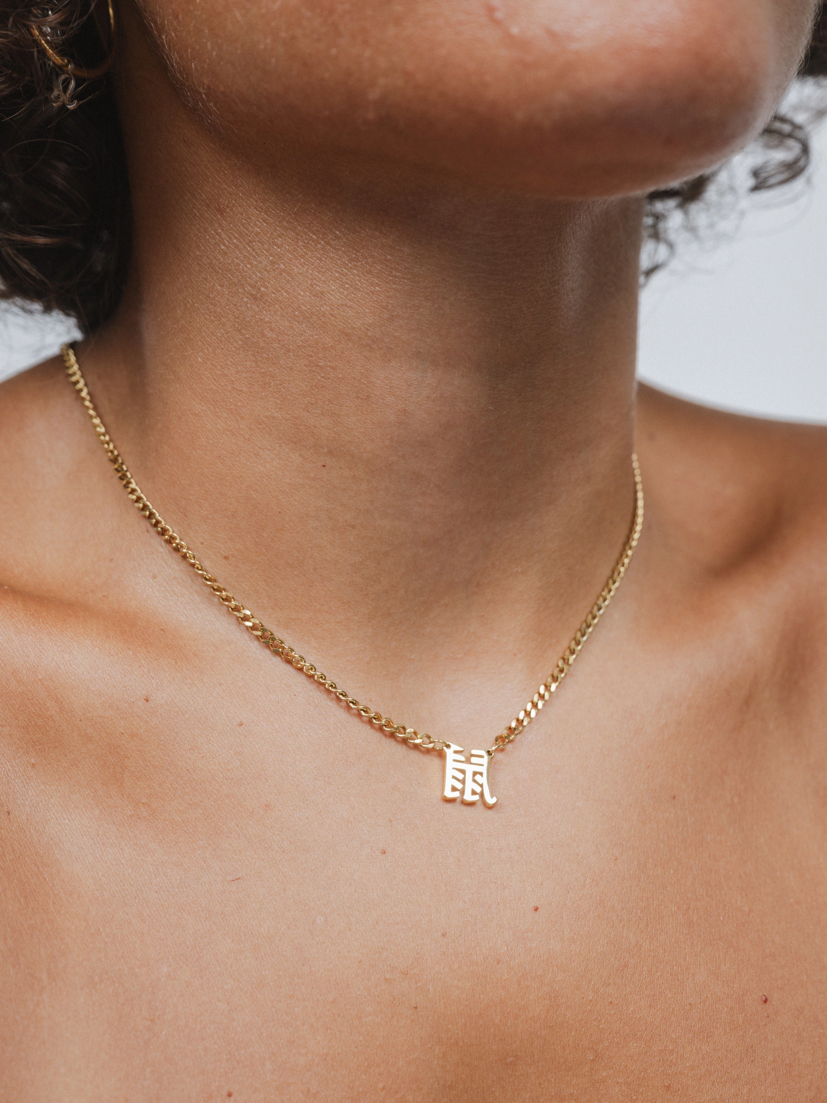 Polished Feature Chinese Zodiac Cuban Necklace