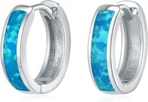 Opal Stud Huggie Hoop Earrings: Hypoallergenic 14K Gold/Silver/Rose Gold Plated Small Hoop Earrings for Women Sensitive Ears