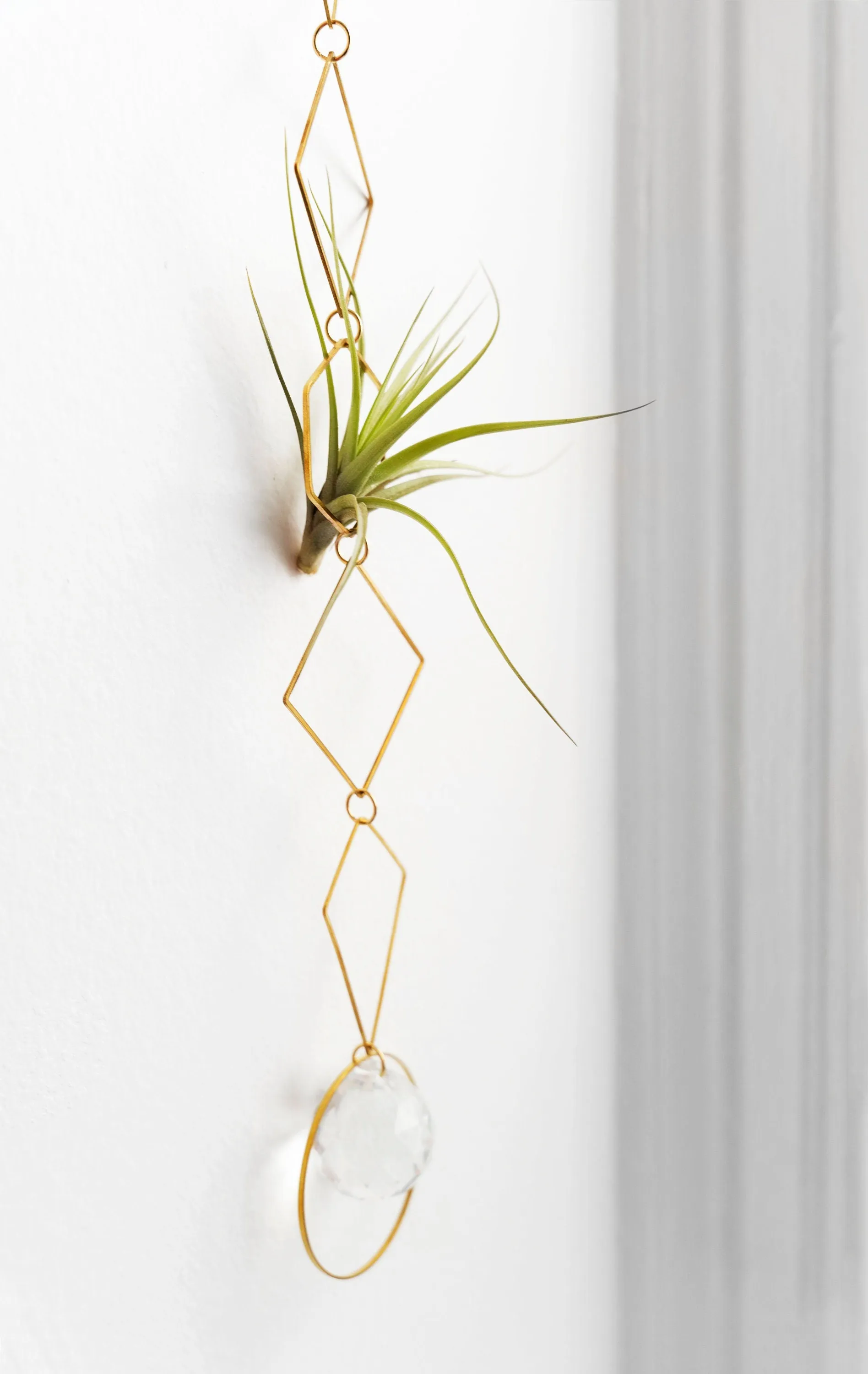 "Bijoux de Maison" Vert Air Plant Display - I