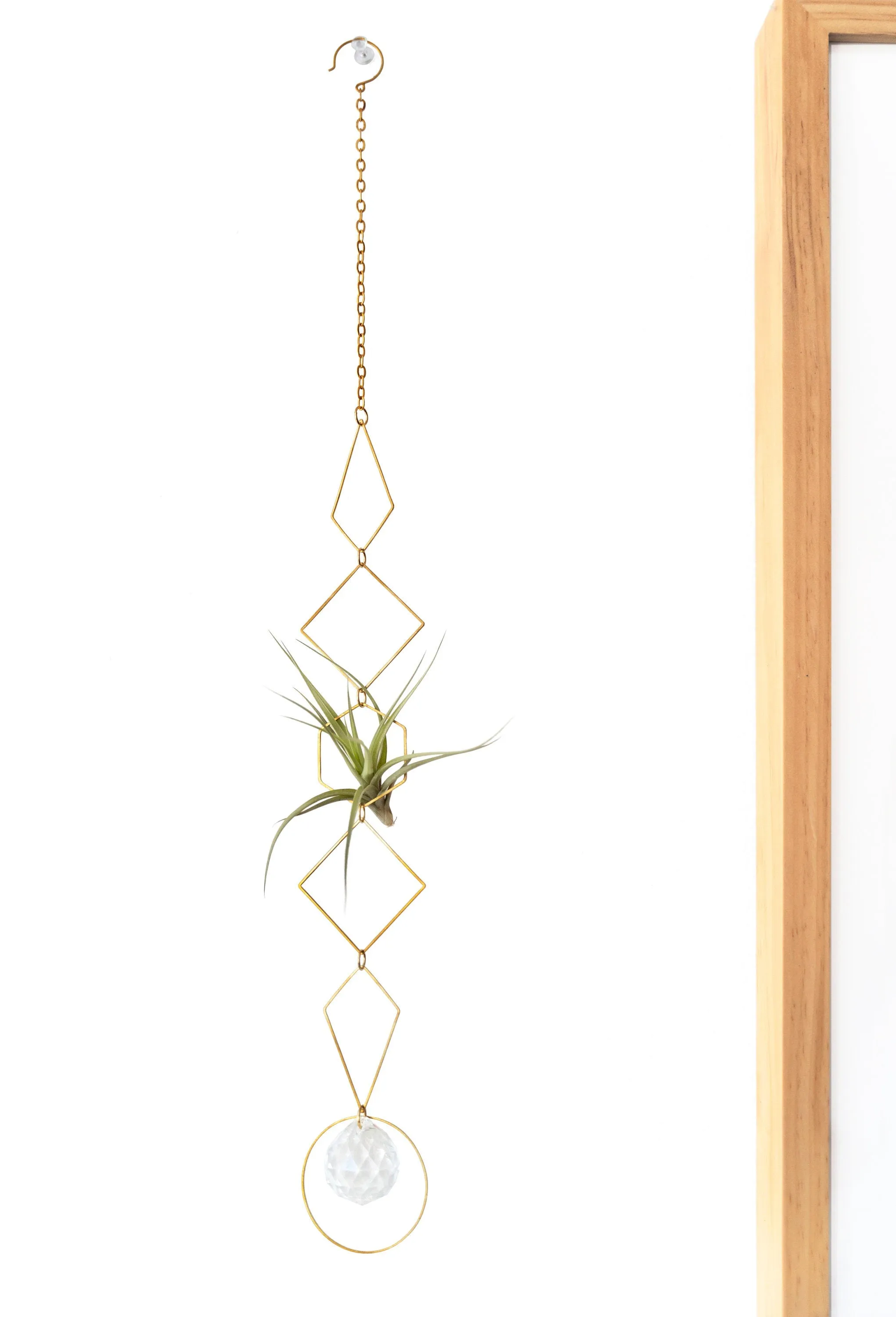 "Bijoux de Maison" Vert Air Plant Display - I