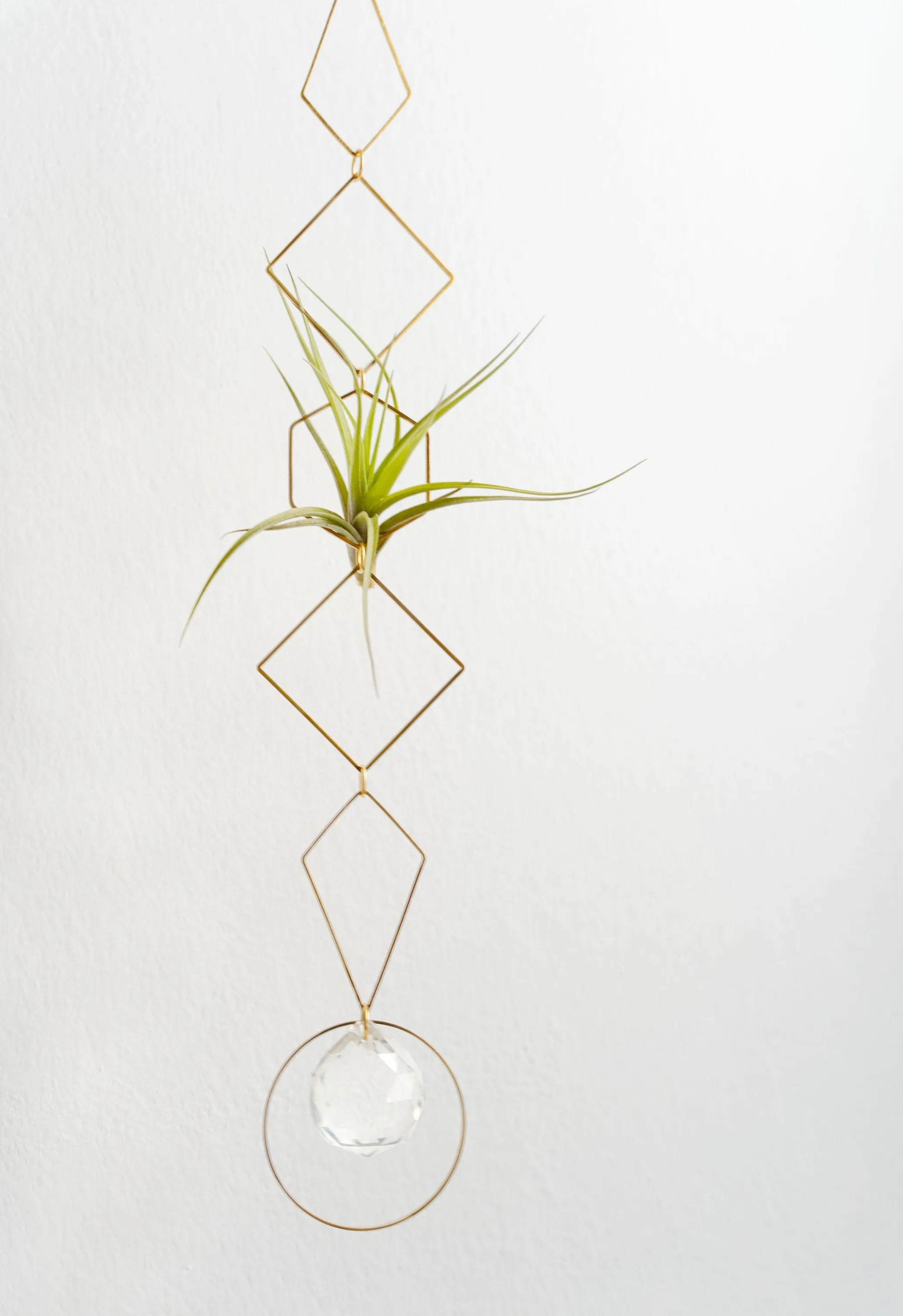 "Bijoux de Maison" Vert Air Plant Display - I