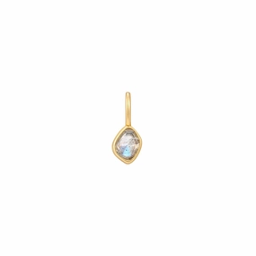 Vibrant Touch Evening Accessories Gold Labradorite Charm