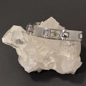 Scorpion Stainless Steel Men's Bracelet Current Custom