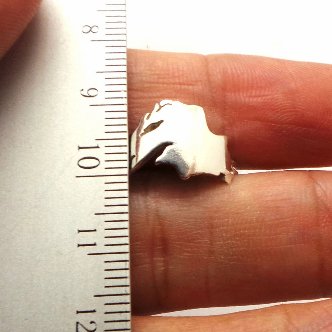 Beautiful Insignia Stering Silver Lake Superior Ring