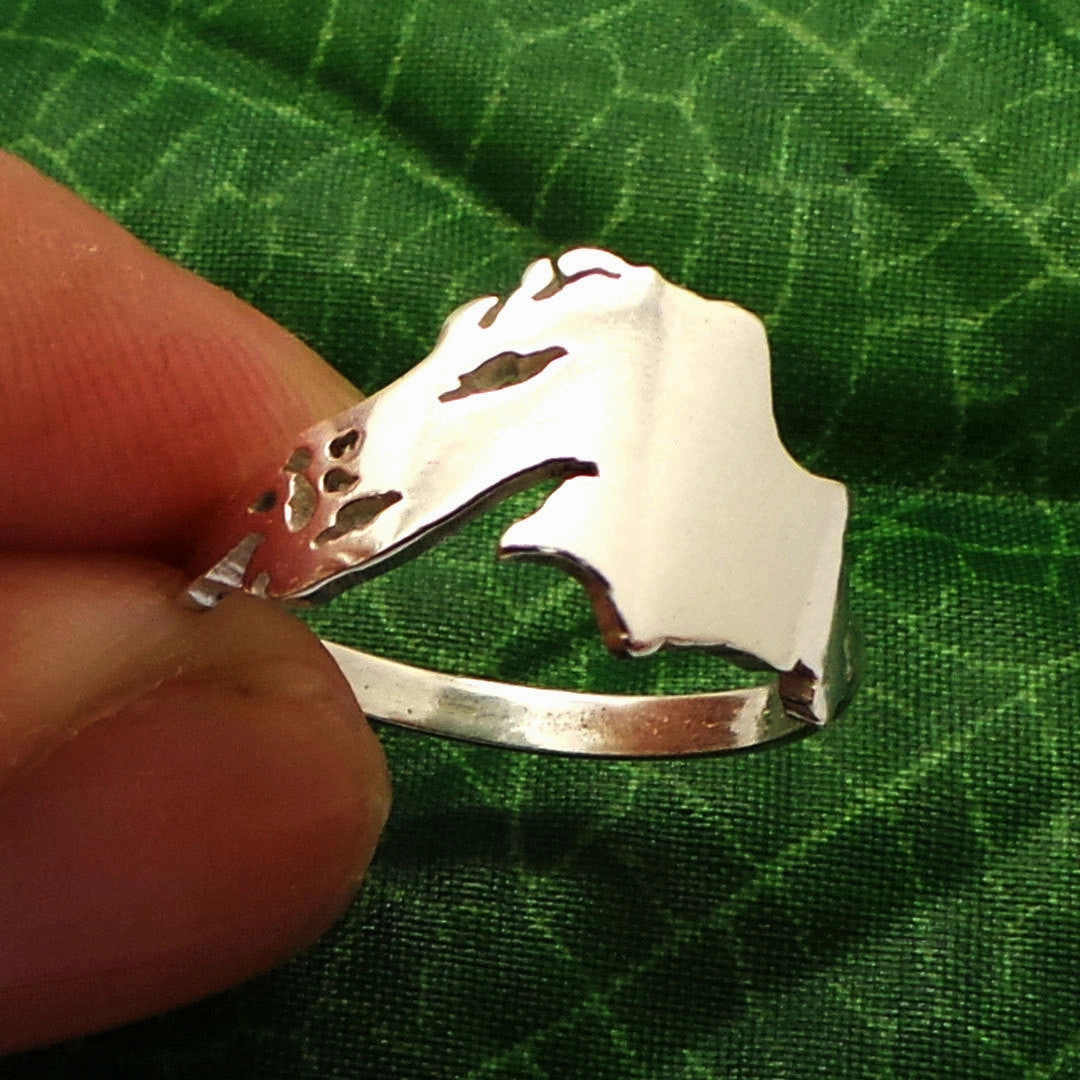 Minimalist Style Stering Silver Lake Superior Ring