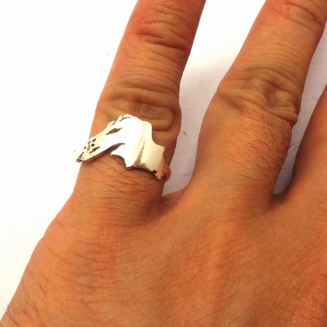 Stering Silver Lake Superior Ring Glitter Accent