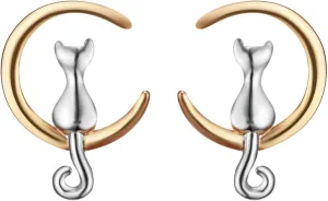Sterling Silver Earrings Cat Moon Stud Earrings Jewelry Birthday Gift for Women