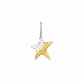 Statement Edge Dazzling Jewelry Two Tone Star Charm